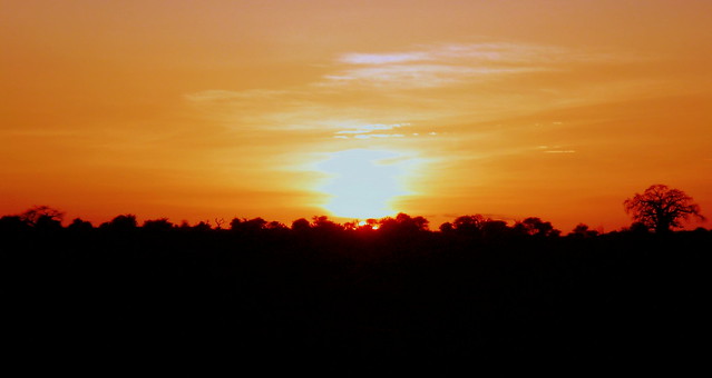 African sunset.