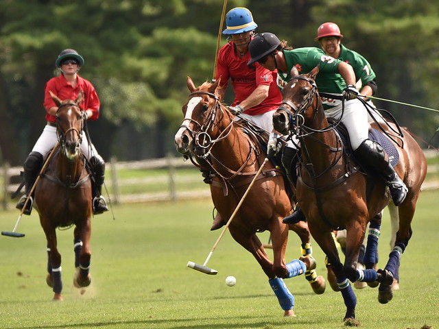 Going for the Shot - Polo at Bethpage Park