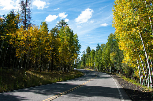 autumn arizona fall forest outdoors fallcolor unitedstates fallfoliage flagstaff sanfranciscopeaks aspen coconinonationalforest forestservice sanfranciscomountain usfs snowbowlroad flagstaffrangerdistrict