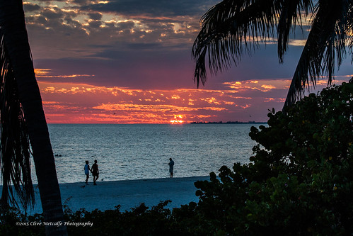 ocean sunset summer usa cloud beach gulfofmexico silhouette palms sundown florida palmtrees fortmyers