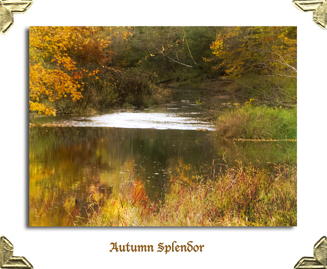 Autumn splendor