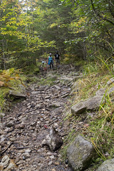 Saint Margaret's Bay Trail