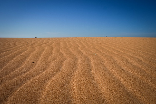 Can you guess what is behind this dune ?