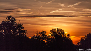 Woburn Sunrise-2936.jpg