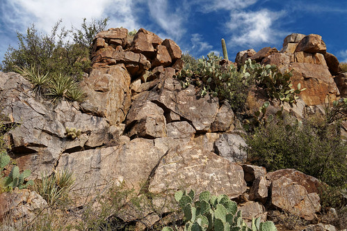 arizona aguafrianationalmonument badgersprings petroglyphs rockart desertforests df2016