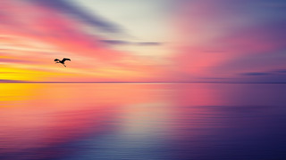 Pink sunset with stork #1 | On explore! Made with PhotoShop.… | Flickr