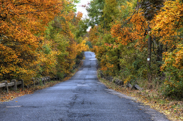 Scenic autumn road
