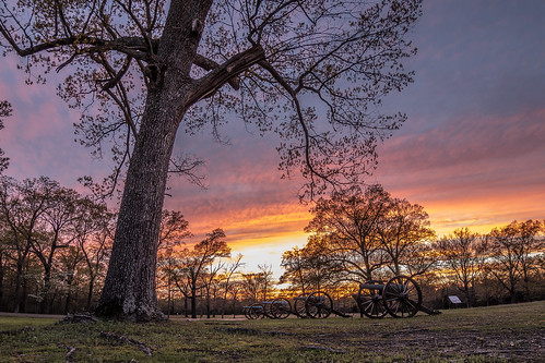cannon oak american bald eagle shiloh national military park tennessee service nps sunrise sunset clouds tree civil war battle spring purple orange