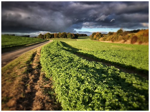 Plateau Picard avant la pluie by OdeYuS_eYe, 