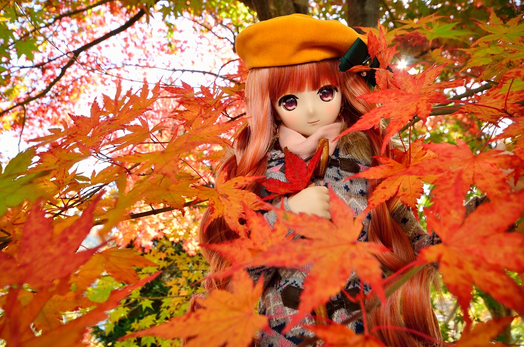 秋色の葉達