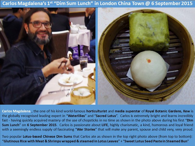 Carlos Magdalena’s 1st Chinese Dim Sum Lunch in London Chinatown @ 6 September 2015