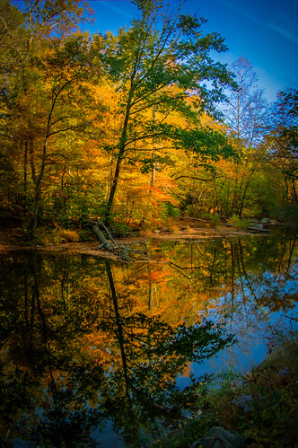 blue autumn color reflection tree green fall nature water leaves yellow creek landscape photography log time samsung hdr lightroom frenchcreek dcsaint lr5 nx30 photomatixessentials