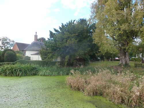 Village pond mand green at Northill 