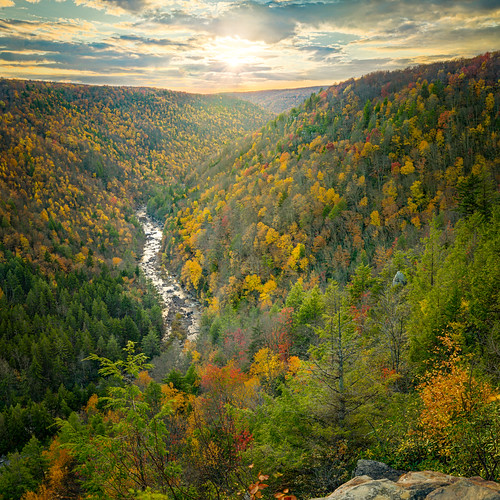 autumn trees light sunset sky panorama sun color fall nature water leaves clouds forest river square landscape outdoors colorful day fallcolors horizon peaceful nobody canyon foliage westvirginia gorge serene pendleton blackwater overlook