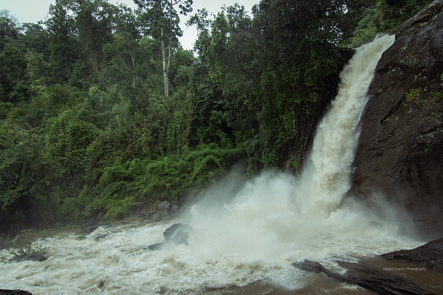Soochipara Falls !!