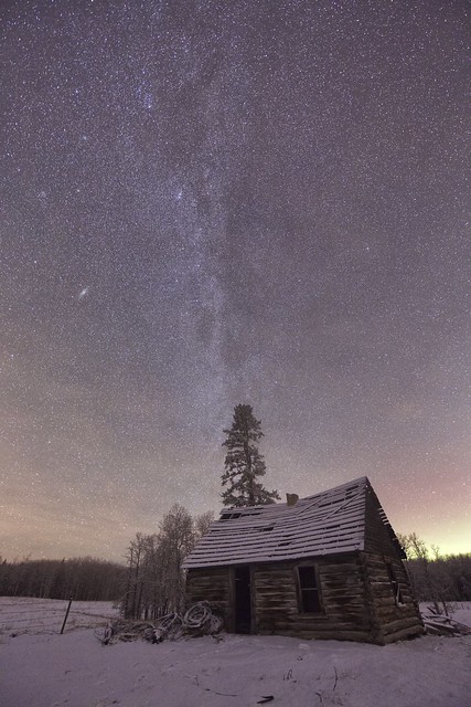 Homestead Cabin under the stars