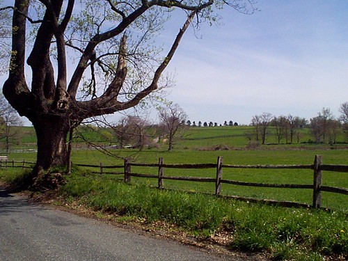 Photo of farm field with wooden fence