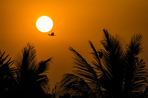 Mumbai, India 2015 by David Torrents Arenales,