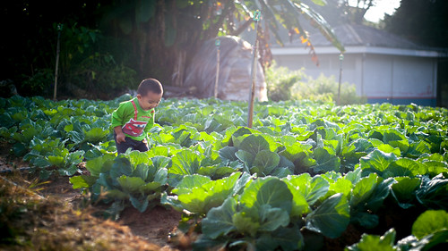 Fun in Farm | by SonWei'S Photography