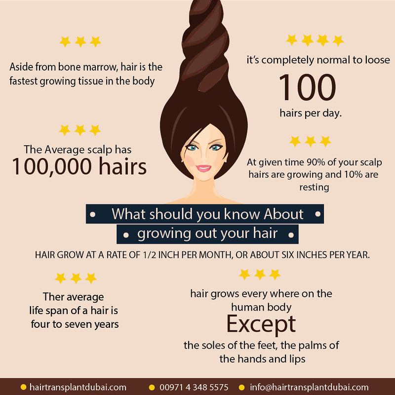 Human hair growth - Wikipedia
