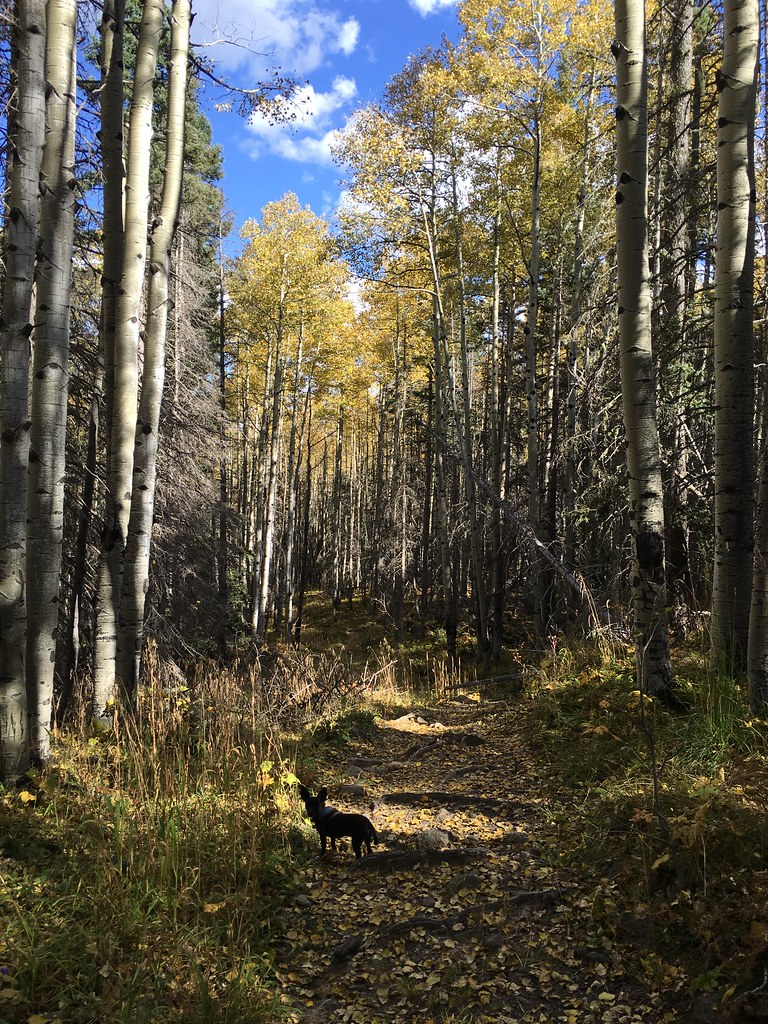 Winsor Trail (254)