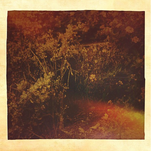 AuTuMn ScEnE #29 | by QuietWalker "crisis on Mars"