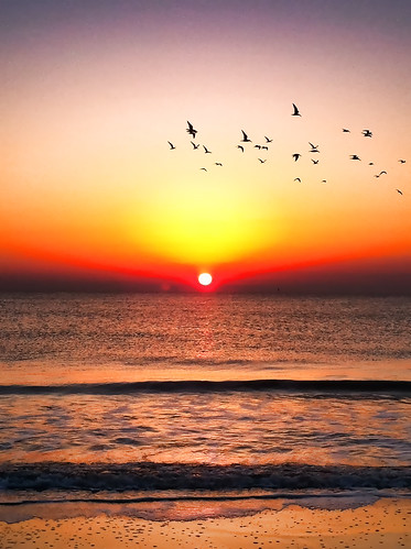 ocean sea sky sunrisesunsetsceniccloudsbeach beachcloudsbirdsoceanwavessandseaislandtybeesavannah