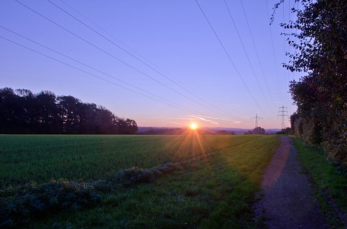 germany nrw nordrhein westfalen deutschland mettmann fields sunset way relax good morning thebluehour