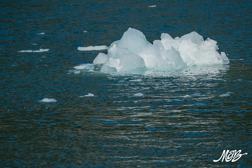 Kenai Fjords NP, Seward
