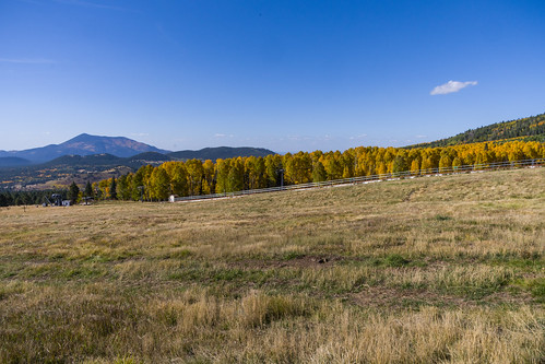 arizona arizonasnowbowl coconinonationalforest flagstaffrangerdistrict forestservice nationalforest pentaxk1 snowbowl usfs fallcolor fallcolors fallfoliage flagstaff forest outdoors unitedstates