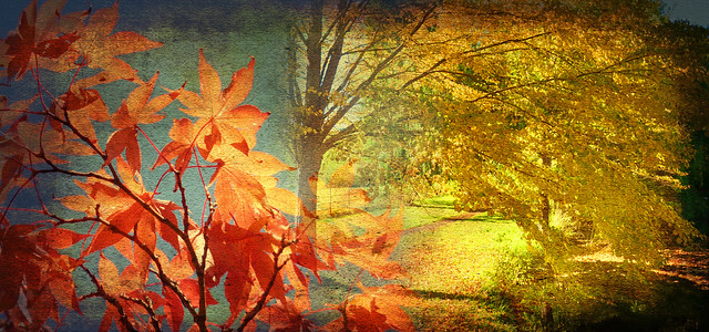 Autumn series