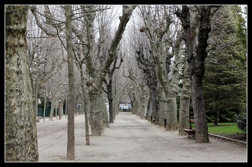 (43) Les arbres du Jardin Vinay (Le Puy-en-Velay) 22593527515_7a4af7416f