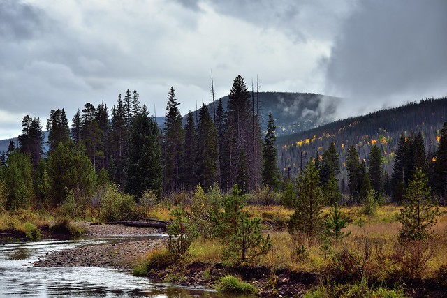 A Setting of Trees and Hillsides Along the Colorado River (Rocky Mountain National Park)