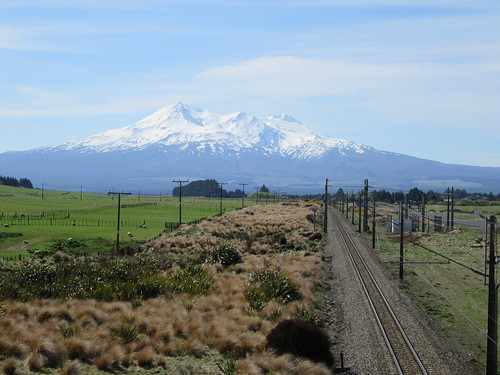animal sheep outdoor rural railway mountain volcano ruapehu waiouru manawatuwanganui newzealand