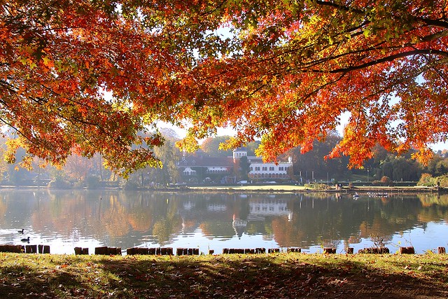 Autumn around the lake of Genval, Rixensart - Belgium