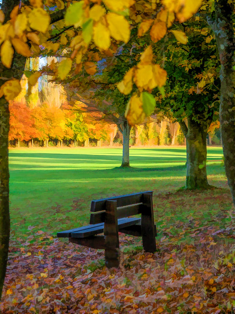 A bench in Charlton Lakes Park, Andover