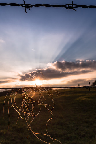 Rays and hair by Herr Olsen, stacheldraht barbwire hair haar zaun sonnenuntergang sunset himmel sky gegenlicht backligh