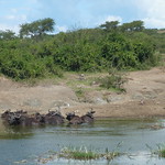 Fri, 11/11/2011 - 14:26 - Uganda