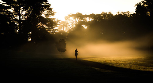 park morning fog golden gate jogger