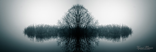 lake autumn water tree landscape 1685mm serene shadows reflection reflections day outdoor silhoutte nikon d7000 ski norway seasons locations otherwordly mirrored monochrome calm norge mist akershus blackandwhite fog bw sky lens nikkor no