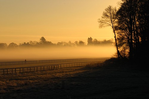 mist misty sunrise frost knavesmirewoods knavesmire york racecourse landscape northyorkshire yorkshire morning