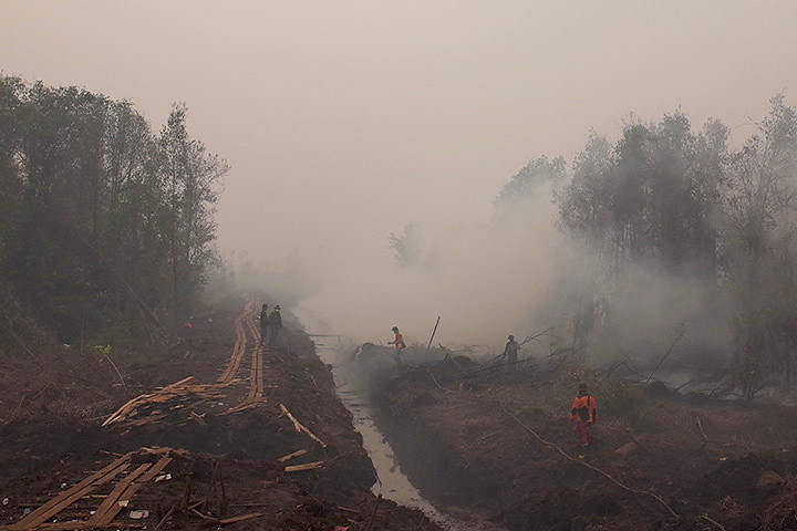 Seeing Through the Smoky Pall: Observations from a Grim Indonesian Fire Season