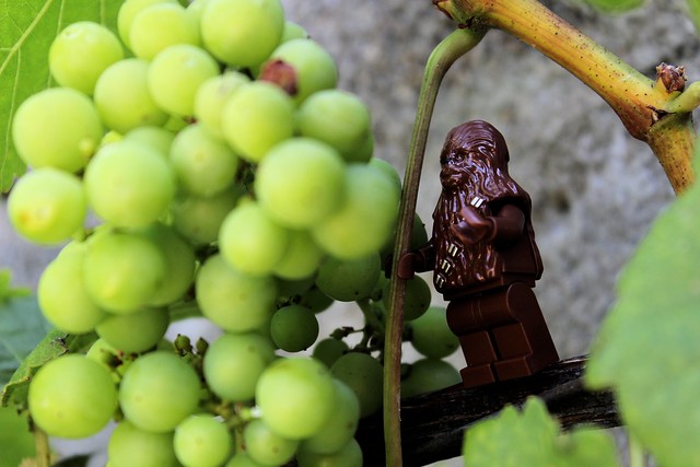 Wookiee Vine
