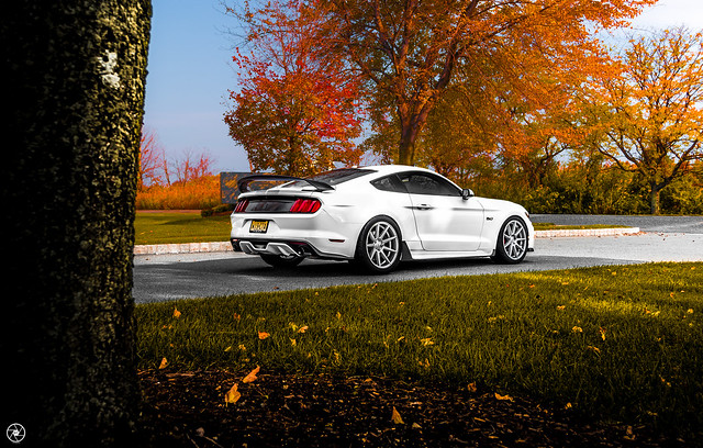 White Mustang GT on Velgen Wheels VMB9 Matte Silver 20x9 & 20x10.5