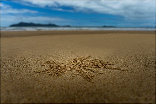 ngc landscape beach missionbeach creativity bokeh landschaft strand kreativität australien sand beautifulnature footprints
