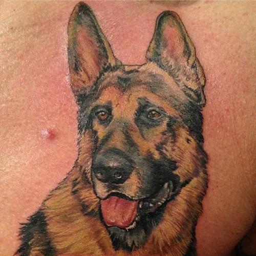 German Shepard - Joey Hamilton @joeyhamiltontattoo - Las Vegas, NV #tattoo #tattooartist #tattwho #ink #inked #inkedup #inklife #inkedlife #inklifestyle #inkedlifestyle #tattoos #tattooart #artist #gsd #gsdlove #germanshepherd #gsdsofinstagram #germanshep | by tattwho