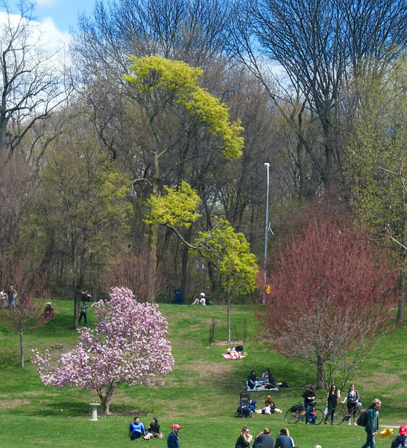 Spring in Prospect Park