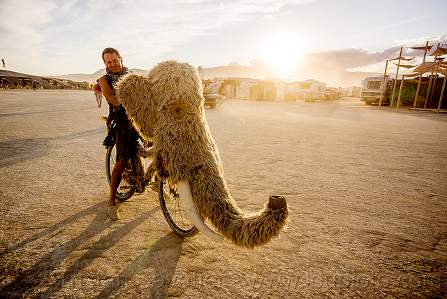 DSC01490 - Woolly Mammoth Bicycle - Burning Man 2015