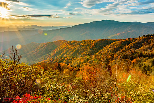 usa fall nature landscape geotagged outdoors photography unitedstates hiking tennessee hdr cosby greatsmokymountainsnationalpark crestmont mountcammerer geo:country=unitedstates camera:make=canon exif:make=canon geo:state=tennessee catonsgrove tamronaf1750mmf28spxrdiiivc exif:lens=1750mm exif:aperture=ƒ16 exif:isospeed=100 exif:focallength=17mm canoneos7dmkii camera:model=canoneos7dmarkii exif:model=canoneos7dmarkii geo:location=crestmont geo:lat=3575242000 geo:lon=8320639500 geo:city=cosby geo:lon=8316115667 geo:lat=3576359333 geo:lon=83161111666667 geo:lat=35763611666667