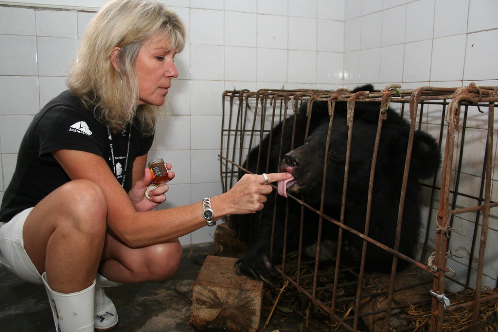 Animals Asia founder and CEO Jill Robinson MBE met Blue fo… | Flickr